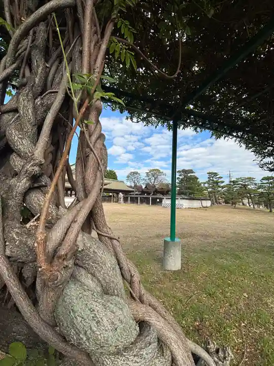 阿閇神社(兵庫県)