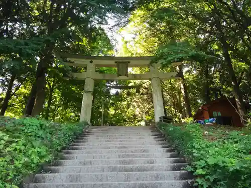 宝登山神社の鳥居