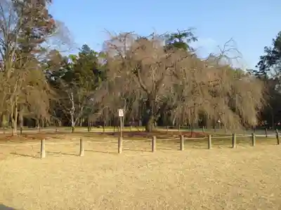 賀茂別雷神社（上賀茂神社）(京都府)