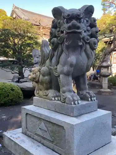 天嶽院の狛犬