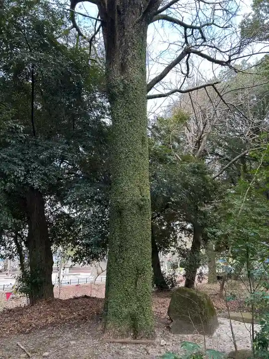 岐阜護國神社の{uncategorized: "未分類", other: "その他", undefined: "問題あり", building: "その他建物", grave: "お墓", sacred_gate: "鳥居", guardian: "狛犬", statue: "像", buddha: "仏像", history: "歴史", nature: "自然", garden: "庭園", animal: "動物", pagoda: "塔", temizu: "手水舎", mountain_gate: "山門・神門", sanctuary: "本殿・本堂", subordinate: "末社・摂社", art: "芸術", scenery: "景色", jizo: "地蔵", ema: "絵馬", goshuin: "御朱印", omikuji: "おみくじ", items: "授与品その他", amulet: "お守り", goshuincho: "御朱印帳", eats: "食事", festival: "お祭り", votive_dance: "神楽", shichigosan: "七五三参", wedding: "結婚式", experience: "体験その他", initially: "初詣", around: "周辺", anti_infection: "感染症対策"}