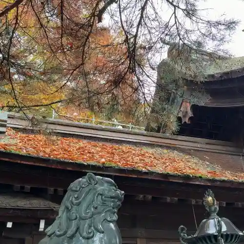 長浜八幡宮(滋賀県)