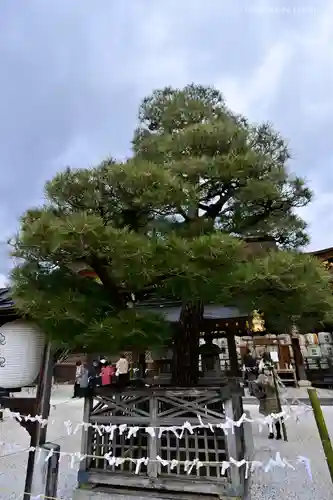 北野天満宮の庭園