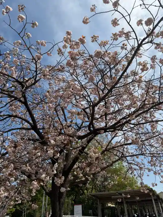 菊名池弁財天の{uncategorized: "未分類", other: "その他", undefined: "問題あり", building: "その他建物", grave: "お墓", sacred_gate: "鳥居", guardian: "狛犬", statue: "像", buddha: "仏像", history: "歴史", nature: "自然", garden: "庭園", animal: "動物", pagoda: "塔", temizu: "手水舎", mountain_gate: "山門・神門", sanctuary: "本殿・本堂", subordinate: "末社・摂社", art: "芸術", scenery: "景色", jizo: "地蔵", ema: "絵馬", goshuin: "御朱印", omikuji: "おみくじ", items: "授与品その他", amulet: "お守り", goshuincho: "御朱印帳", eats: "食事", festival: "お祭り", votive_dance: "神楽", shichigosan: "七五三参", wedding: "結婚式", experience: "体験その他", initially: "初詣", around: "周辺", anti_infection: "感染症対策"}