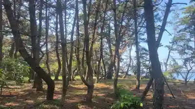 五色濱神社(愛媛県)