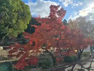 吉祥院(大阪府)