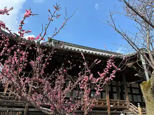 大通寺（長浜御坊）(滋賀県)
