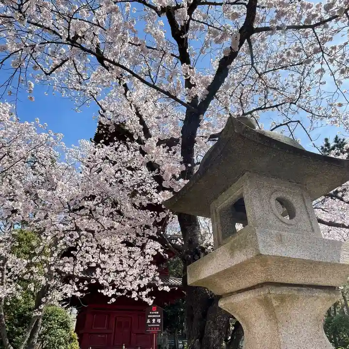 法華経寺(千葉県)