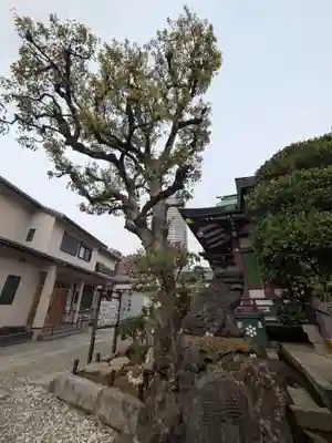 高木神社(東京都)
