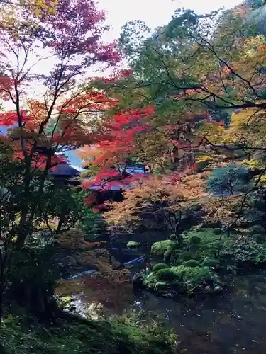 南禅寺(京都府)