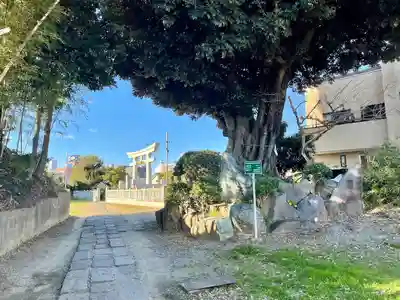 赤城神社(千葉県)