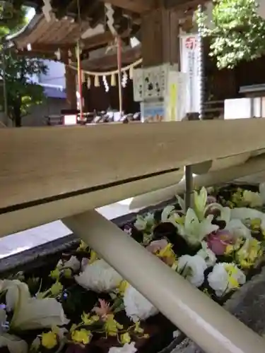 鳩森八幡神社の手水舎