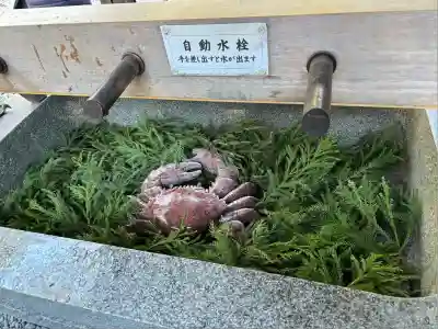 多賀神社（尾張多賀神社）(愛知県)