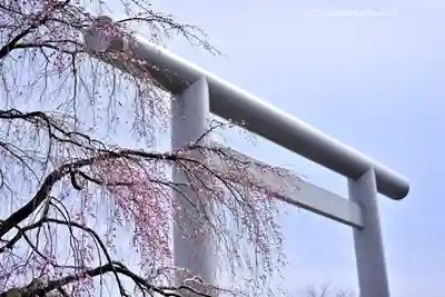 櫻木神社(千葉県)