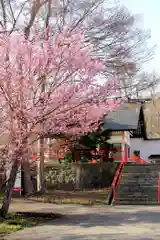 余市神社(北海道)