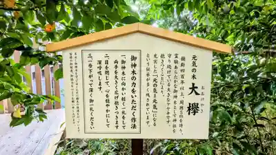 鎮守氷川神社のその他建物