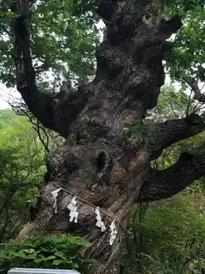 那須温泉神社(栃木県)