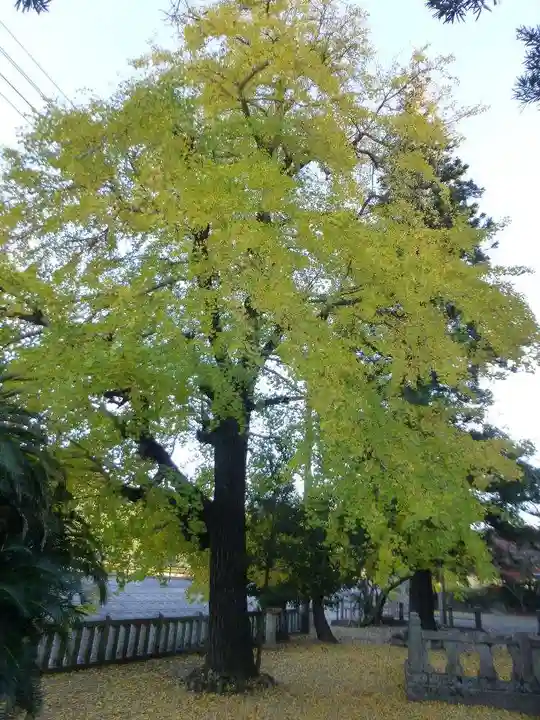 赤崎神社(山口県)