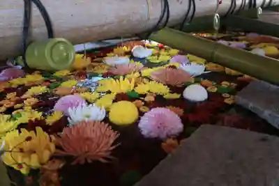 石清水八幡宮の手水舎