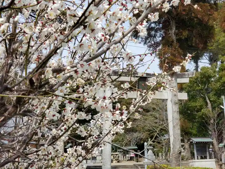 淡河八幡神社の自然