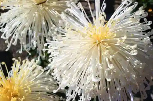 二柱神社の自然