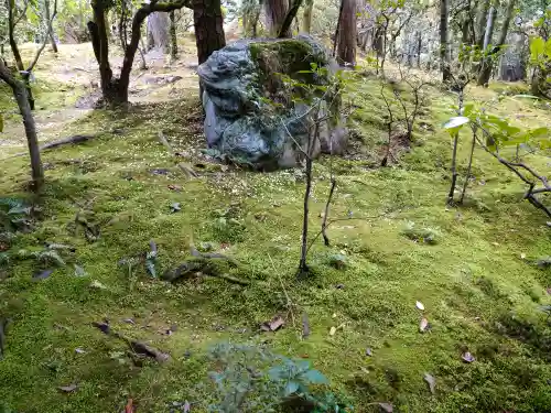 平安神宮の庭園