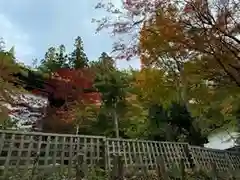 日枝神社(岐阜県)