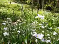 角原神社(福井県)