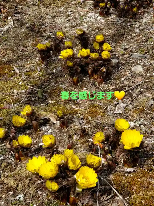 石都々古和気神社(福島県)