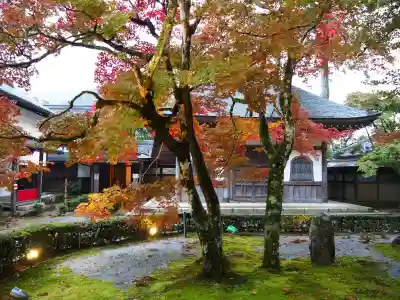 永源寺の{uncategorized: "未分類", other: "その他", undefined: "問題あり", building: "その他建物", grave: "お墓", sacred_gate: "鳥居", guardian: "狛犬", statue: "像", buddha: "仏像", history: "歴史", nature: "自然", garden: "庭園", animal: "動物", pagoda: "塔", temizu: "手水舎", mountain_gate: "山門・神門", sanctuary: "本殿・本堂", subordinate: "末社・摂社", art: "芸術", scenery: "景色", jizo: "地蔵", ema: "絵馬", goshuin: "御朱印", omikuji: "おみくじ", items: "授与品その他", amulet: "お守り", goshuincho: "御朱印帳", eats: "食事", festival: "お祭り", votive_dance: "神楽", shichigosan: "七五三参", wedding: "結婚式", experience: "体験その他", initially: "初詣", around: "周辺", anti_infection: "感染症対策"}