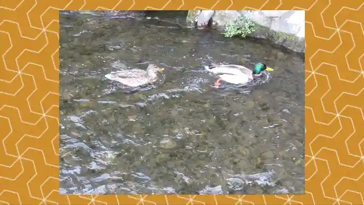 大田神社(賀茂別雷神社境外摂社)(京都府)