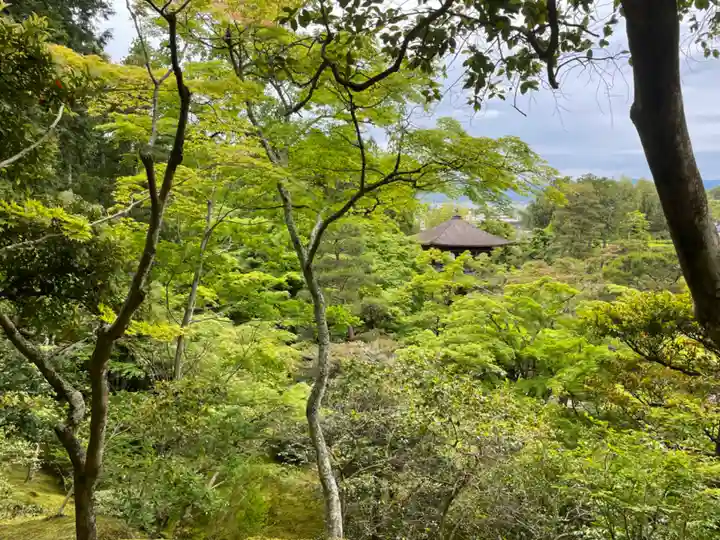 慈照寺(慈照禅寺・銀閣寺)(京都府)