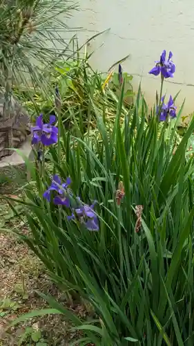 大松禅寺(京都府)