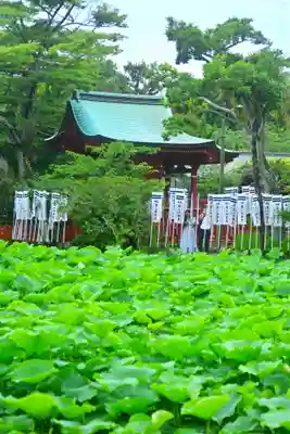 鶴岡八幡宮の末社・摂社
