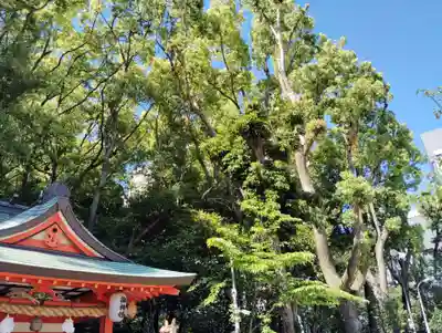 生田神社(兵庫県)