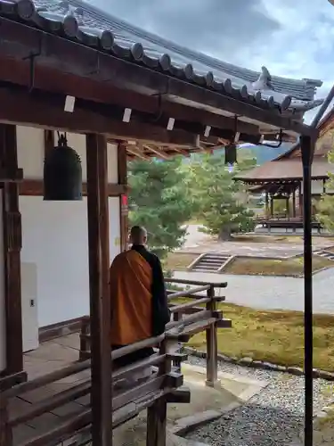 大覚寺(京都府)