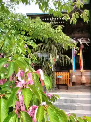 桜神宮(東京都)