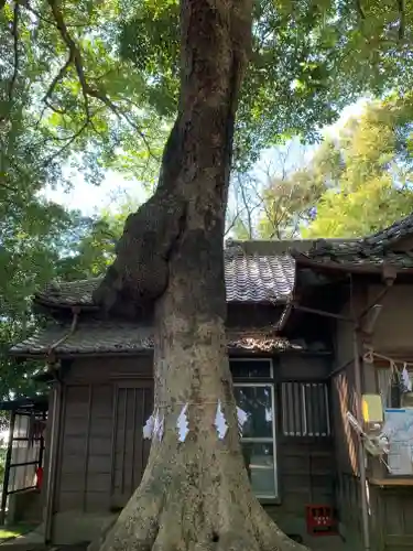 氷川女體神社のその他建物