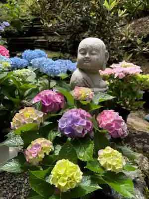 岡寺（龍蓋寺）の{uncategorized: "未分類", other: "その他", undefined: "問題あり", building: "その他建物", grave: "お墓", sacred_gate: "鳥居", guardian: "狛犬", statue: "像", buddha: "仏像", history: "歴史", nature: "自然", garden: "庭園", animal: "動物", pagoda: "塔", temizu: "手水舎", mountain_gate: "山門・神門", sanctuary: "本殿・本堂", subordinate: "末社・摂社", art: "芸術", scenery: "景色", jizo: "地蔵", ema: "絵馬", goshuin: "御朱印", omikuji: "おみくじ", items: "授与品その他", amulet: "お守り", goshuincho: "御朱印帳", eats: "食事", festival: "お祭り", votive_dance: "神楽", shichigosan: "七五三参", wedding: "結婚式", experience: "体験その他", initially: "初詣", around: "周辺", anti_infection: "感染症対策"}