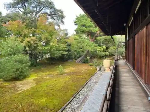 相国寺（相国承天禅寺）(京都府)