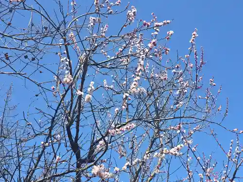 小松寺(大阪府)