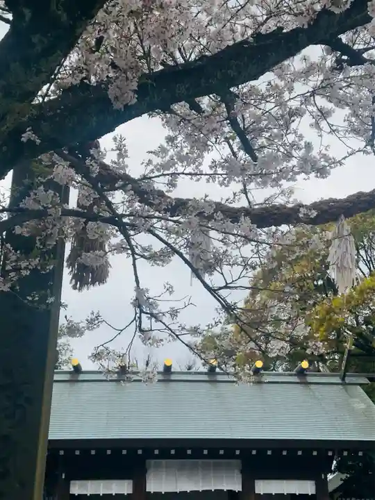 伊勢山皇大神宮(神奈川県)