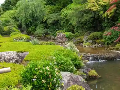退蔵院(京都府)