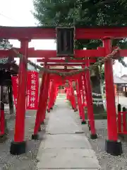 於菊稲荷神社の鳥居