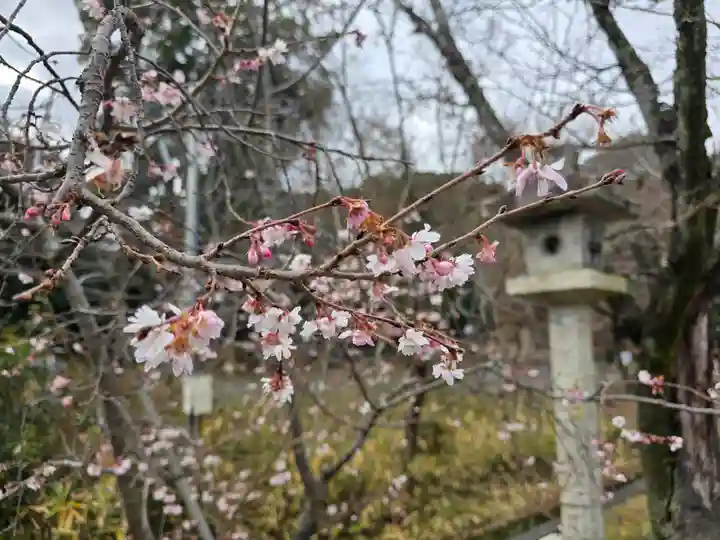松尾大社(京都府)