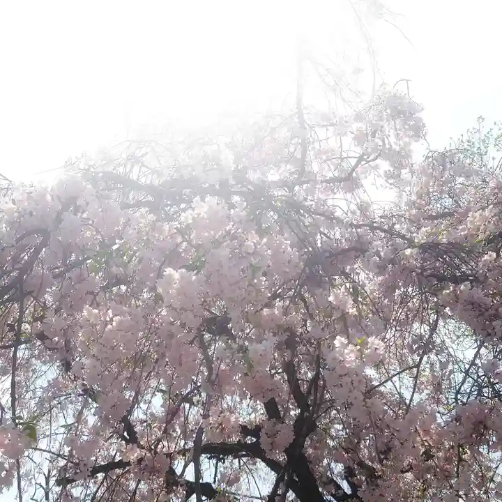 篠ケ谷神社(岐阜県)