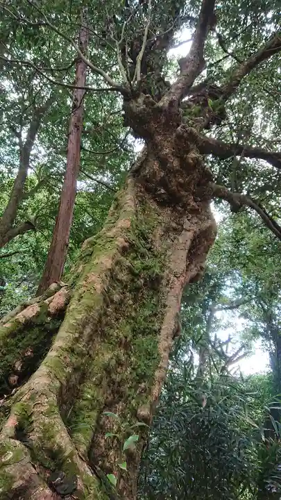 示現神社(栃木県)