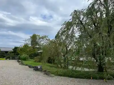 広徳寺(埼玉県)