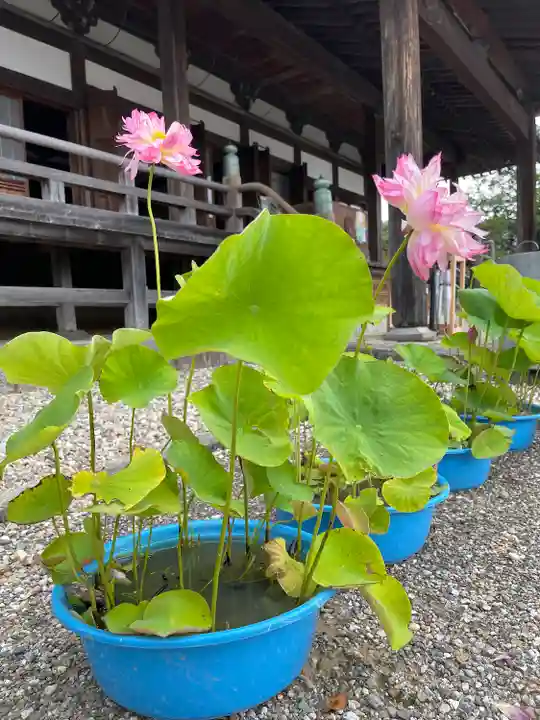 雲龍山 本證寺(愛知県)