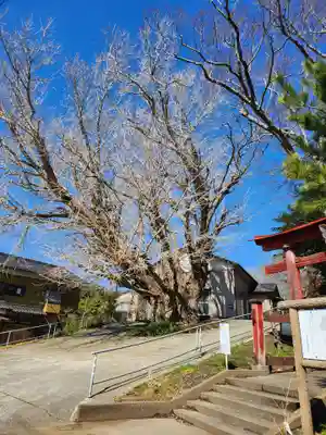 蛟蝄神社門の宮(茨城県)